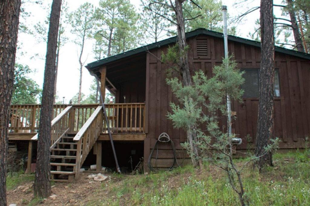 Beary Comfy Cabin Ruidoso Exteriör bild